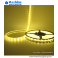 360LEDs Reel 5050 RGBW 4-en-1 bande flexible LED